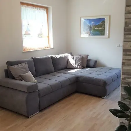 Apartma Alpiner קרנייסקה גורה