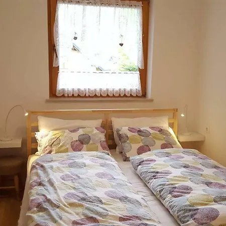 Apartma Alpiner קרנייסקה גורה